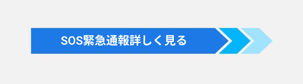 Learn more about SOS Panic Alert.png