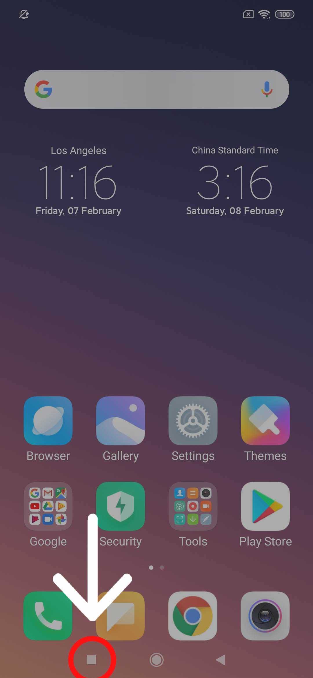 manual-xiaomi-ss1.jpg